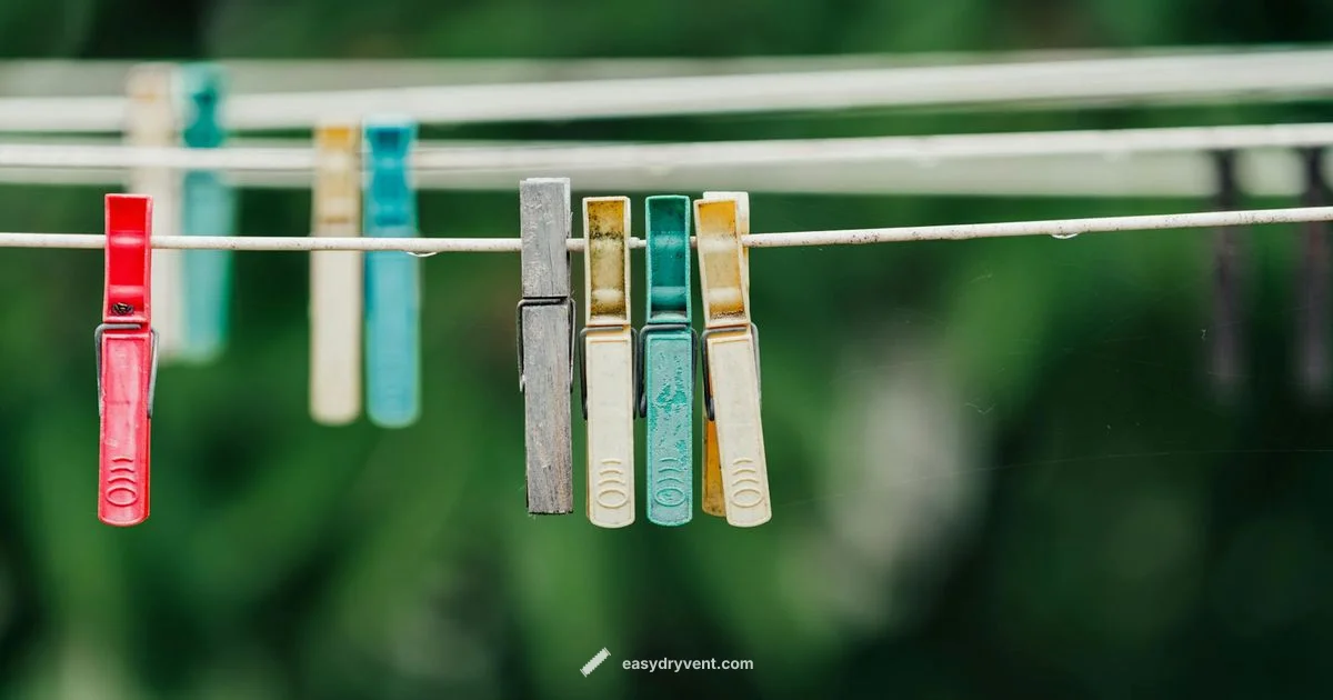 Lint Screen Care - Easy DryVent