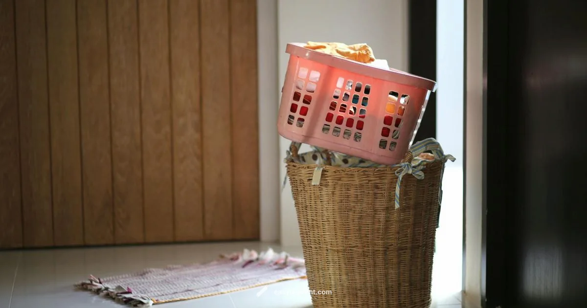 Dryer Ball Showdown - Easy DryVent