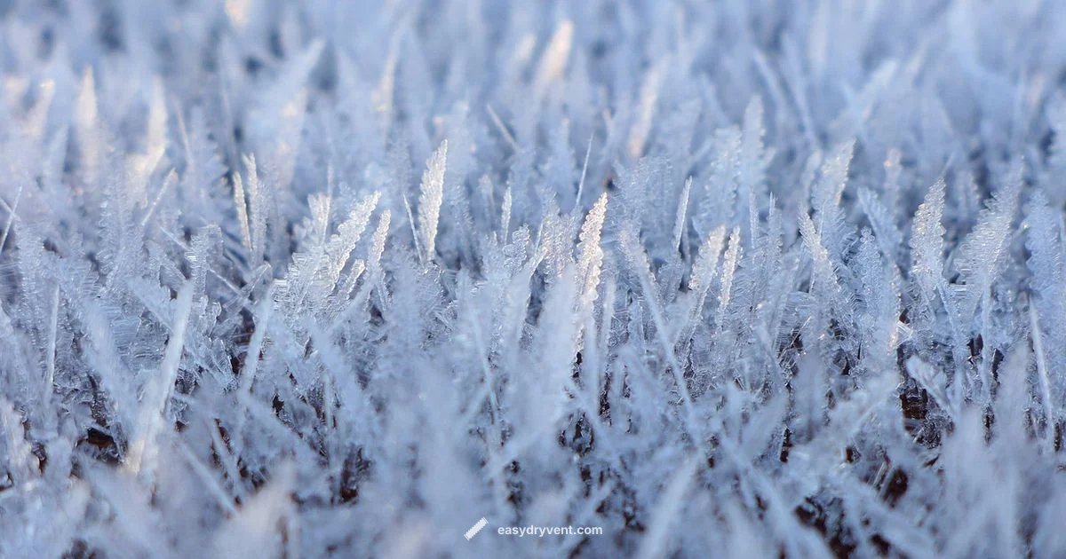 Freeze Dryer Ice Cream Freeze Dryer Ice Cream - Easy DryVent