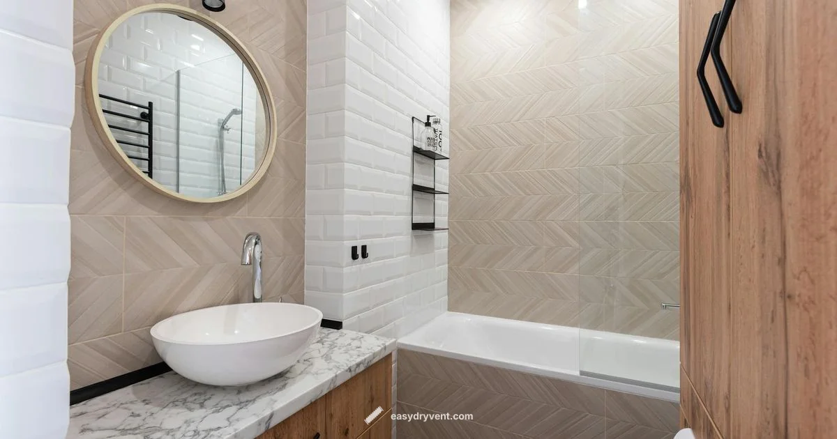 TYMO Hair Dryer Review - Easy DryVent