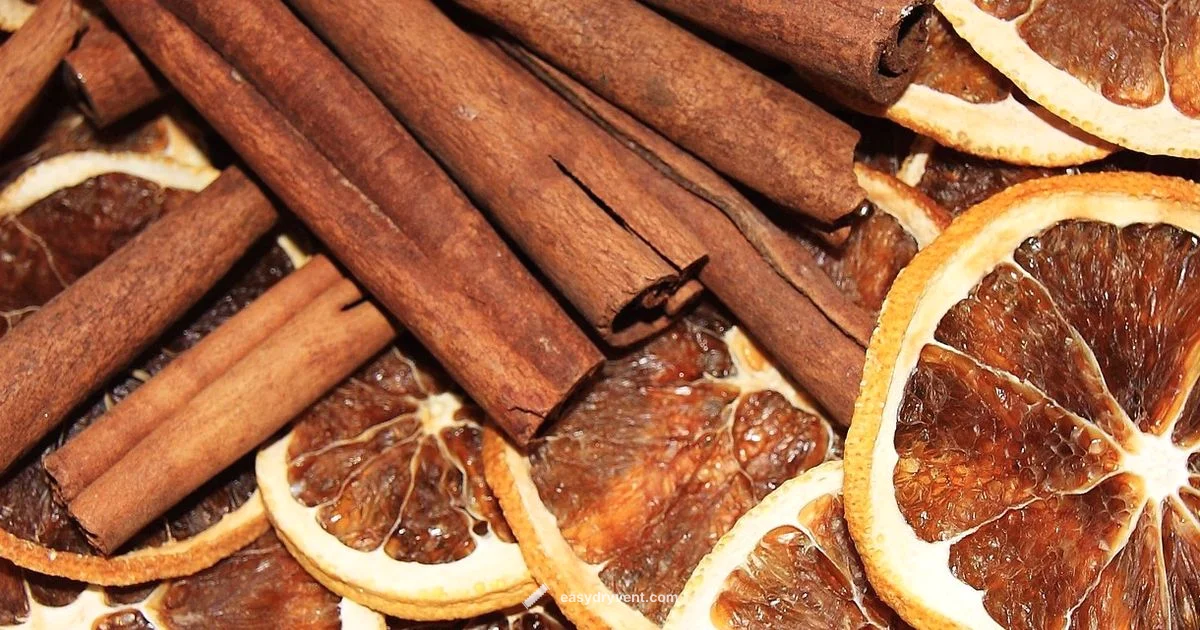 Drying Oranges at Home Drying Oranges at Home - Easy DryVent