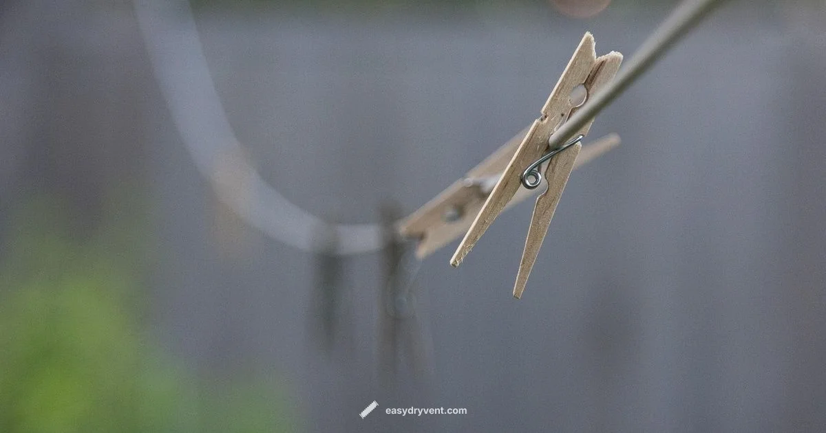 Replace Dryer Belt - Easy DryVent