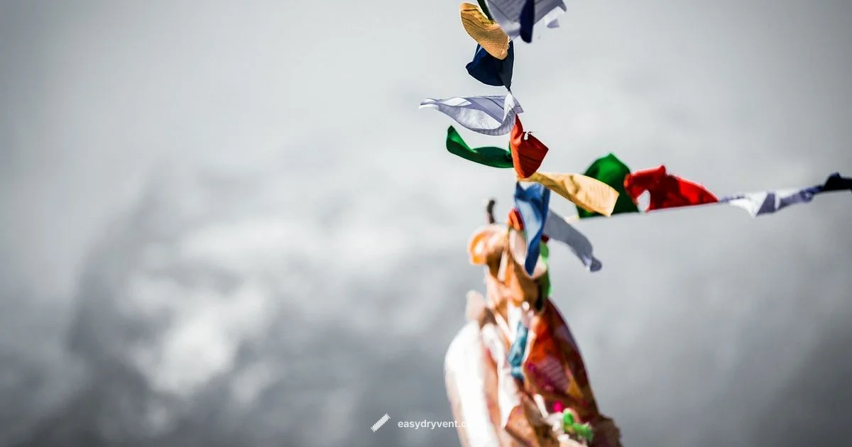 Dryer Cost Guide - Easy DryVent