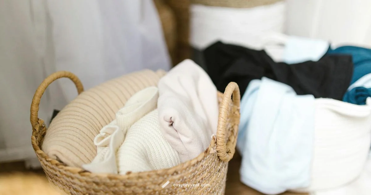 Portable Dryer Guide - Easy DryVent