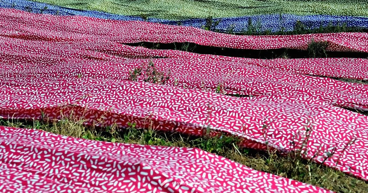 Safe Drying Guide - Easy DryVent