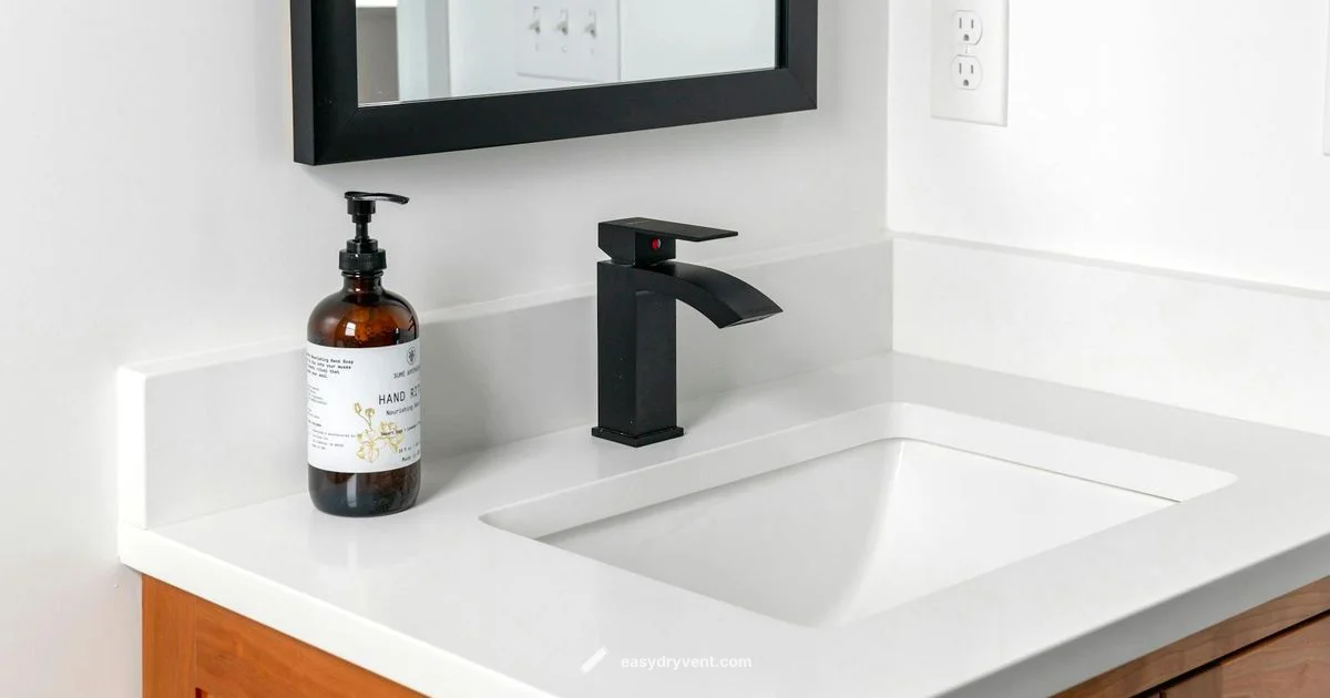 Ionic Dryer Guide - Easy DryVent