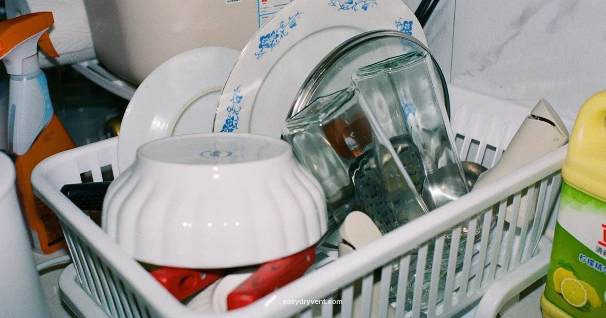 Bottle Washer Dryer Guide - Easy DryVent