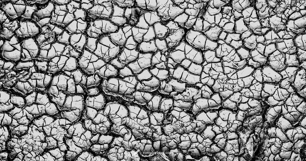 Preserve Fresh Blooms - Easy DryVent