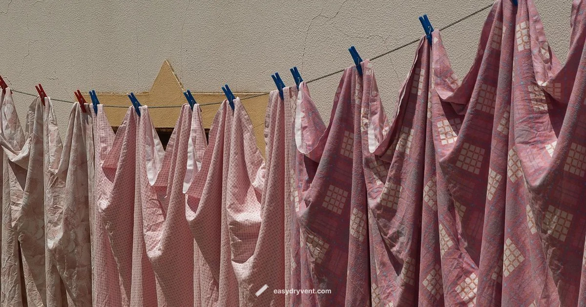 Dryer Maintenance Dryer Maintenance - Easy DryVent