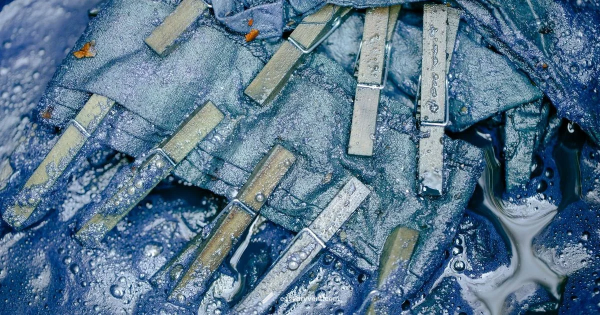 Lint Filter Care - Easy DryVent