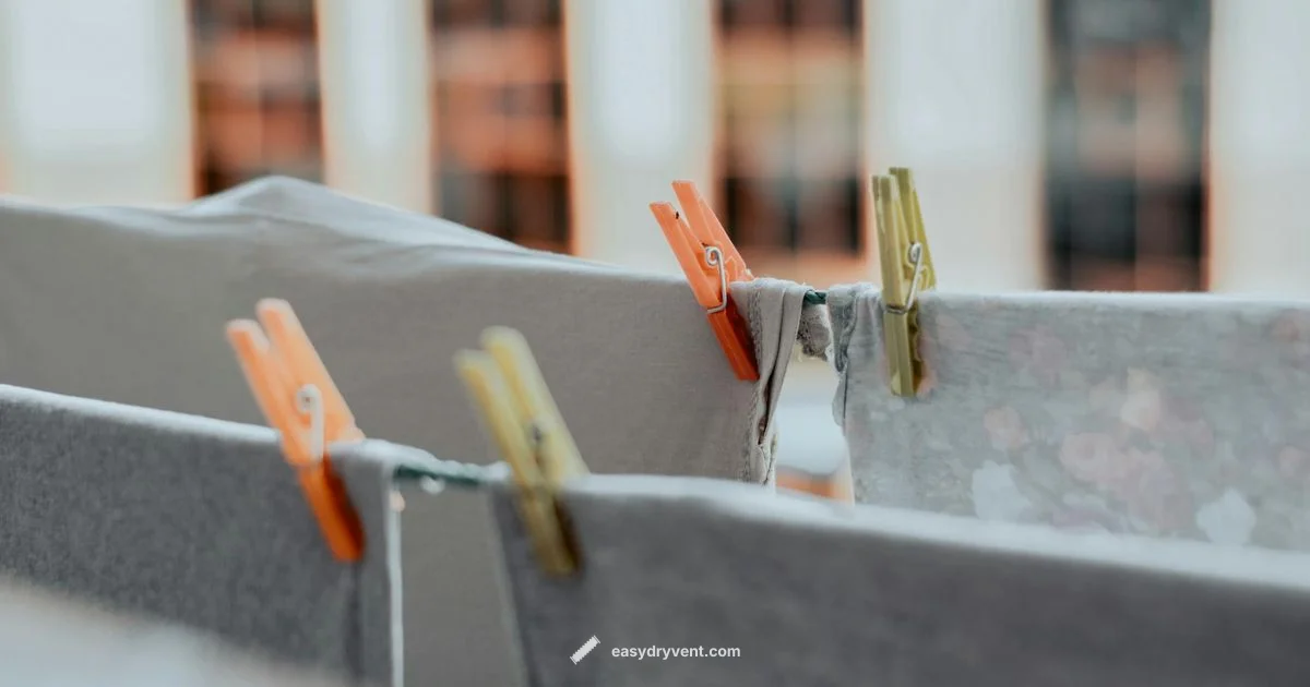 Smart Laundry Setup - Easy DryVent