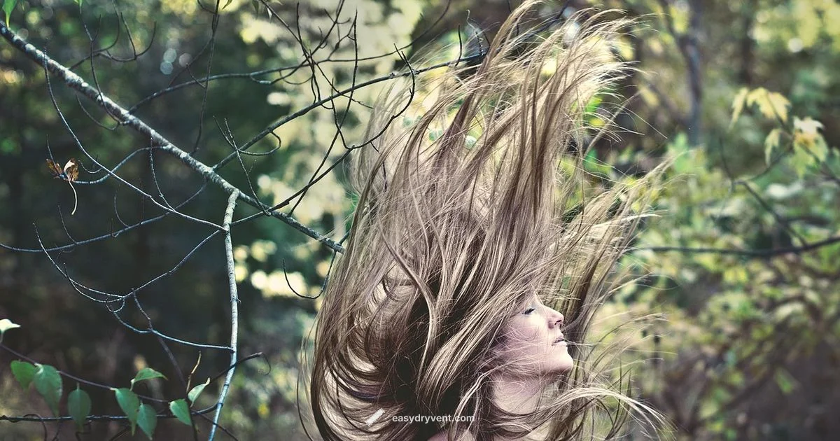 High-End Dryer Costs - Easy DryVent