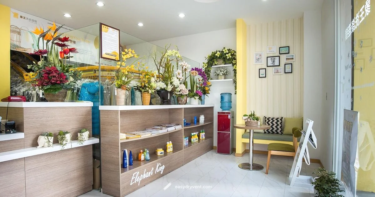 Top Lint Trap Maintenance - Easy DryVent