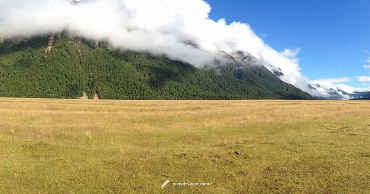 Overheating Dryer Guide - Easy DryVent