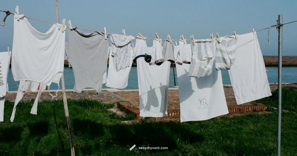 Wool Drying Guide - Easy DryVent