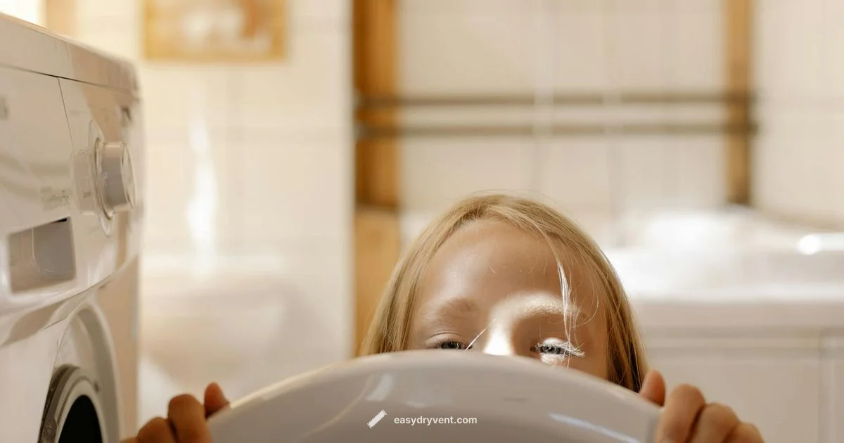 LG Electric Dryer Guide - Easy DryVent