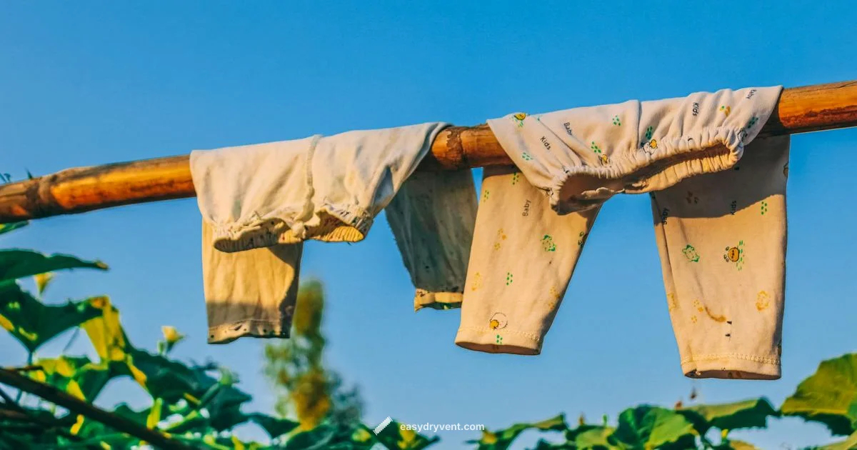 Dryer Science - Easy DryVent