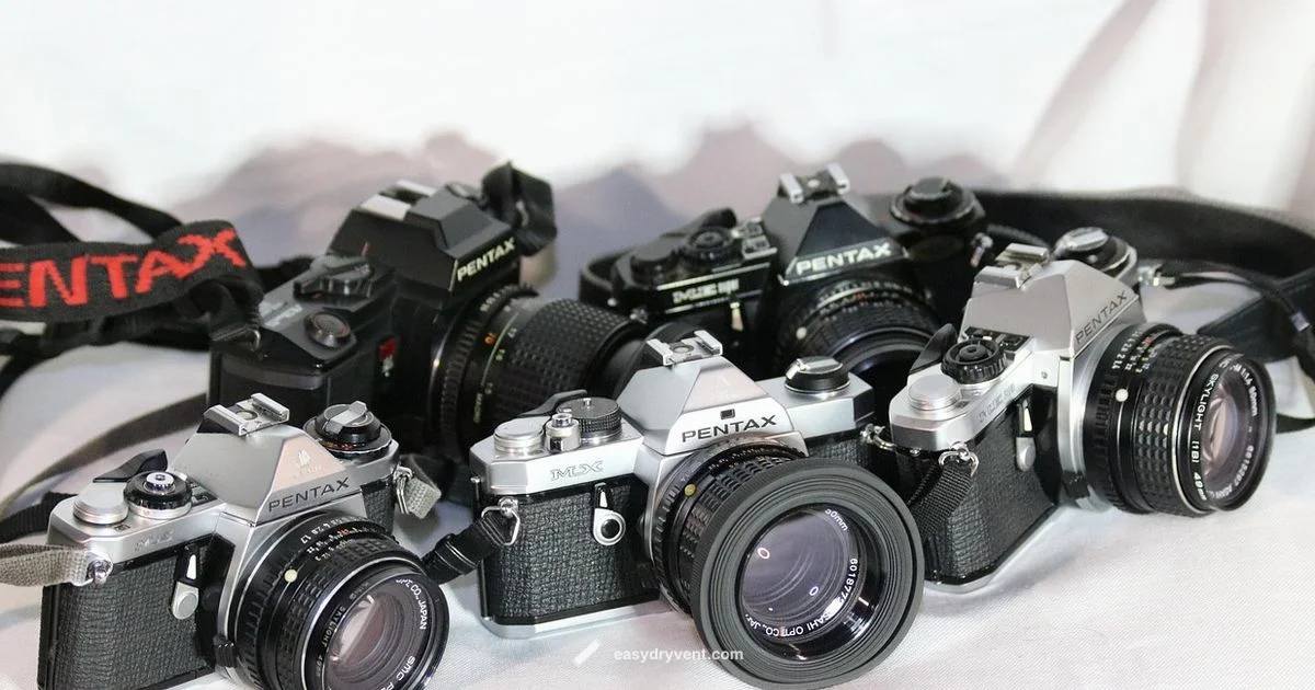 Steam vs Regular - Easy DryVent