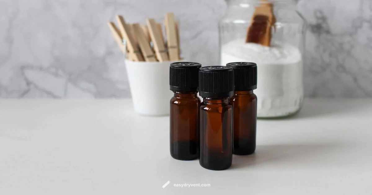 Best Dryer Sheets 2026 - Easy DryVent