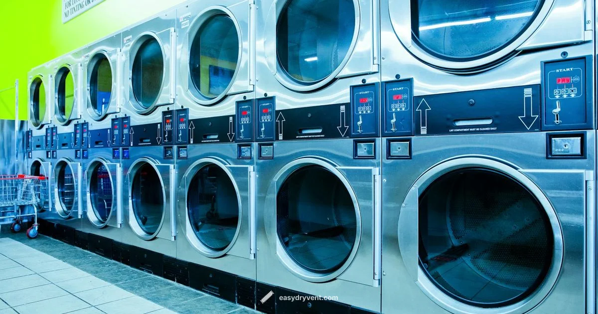 Understanding drier vs dryer Understanding drier vs dryer - Easy DryVent