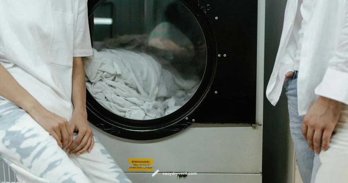 Best Dryer Brands 2026 - Easy DryVent