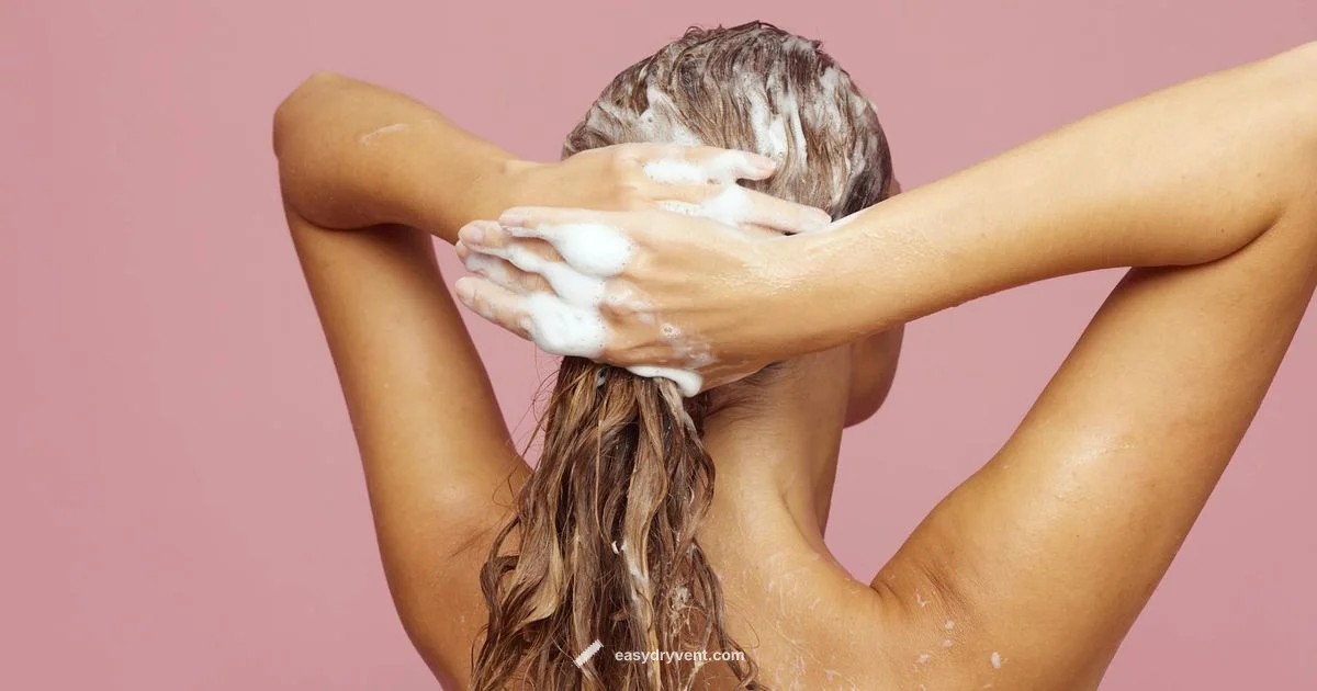 Diffuser vs Dryer Diffuser vs Dryer - Easy DryVent