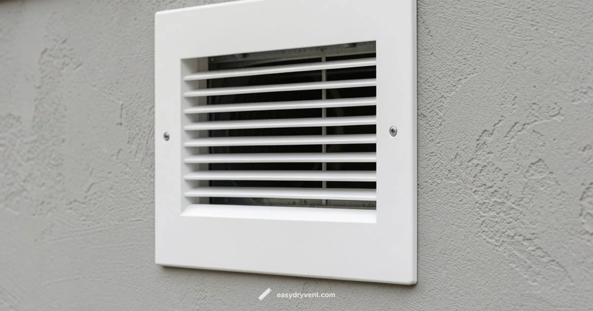 Dryer Venting Guide - Easy DryVent