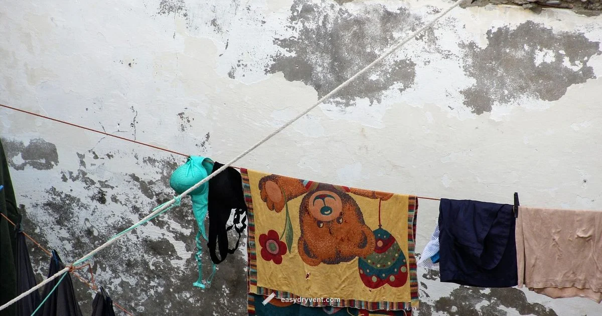 Heat Pump Dryers - Easy DryVent