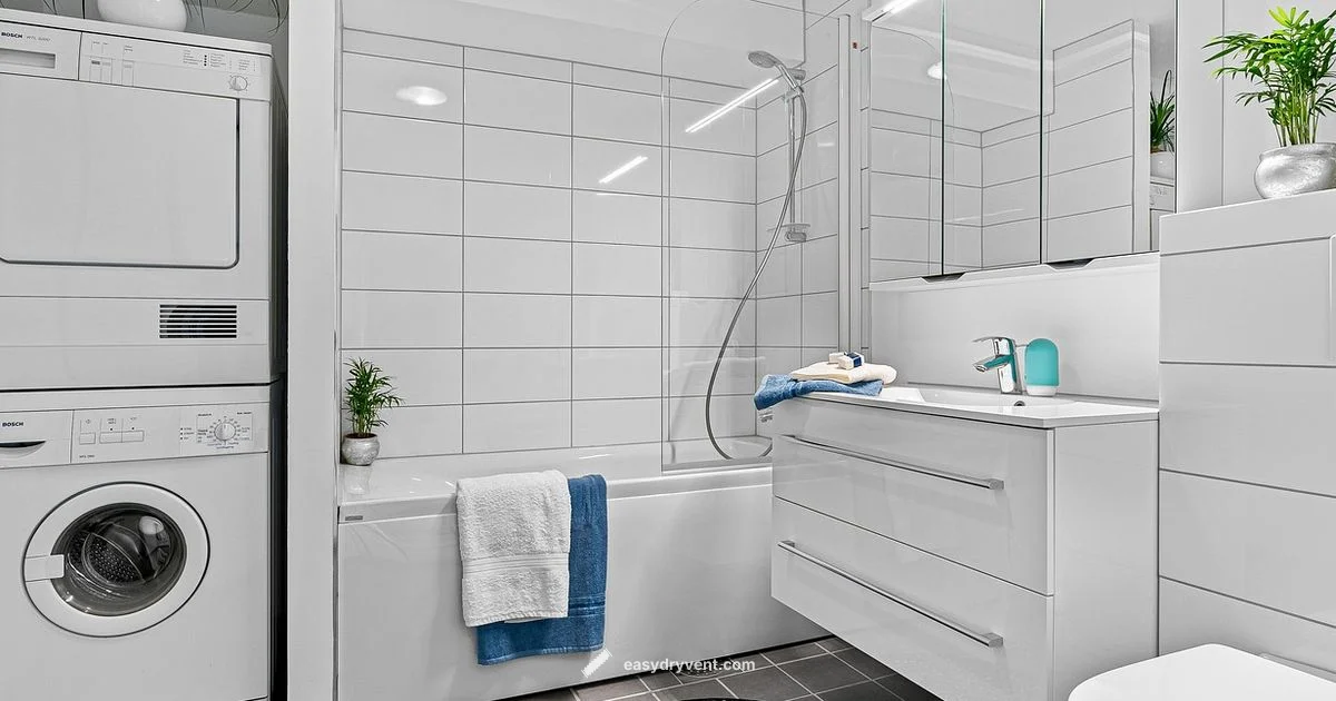 Reliable Laundry Setup - Easy DryVent