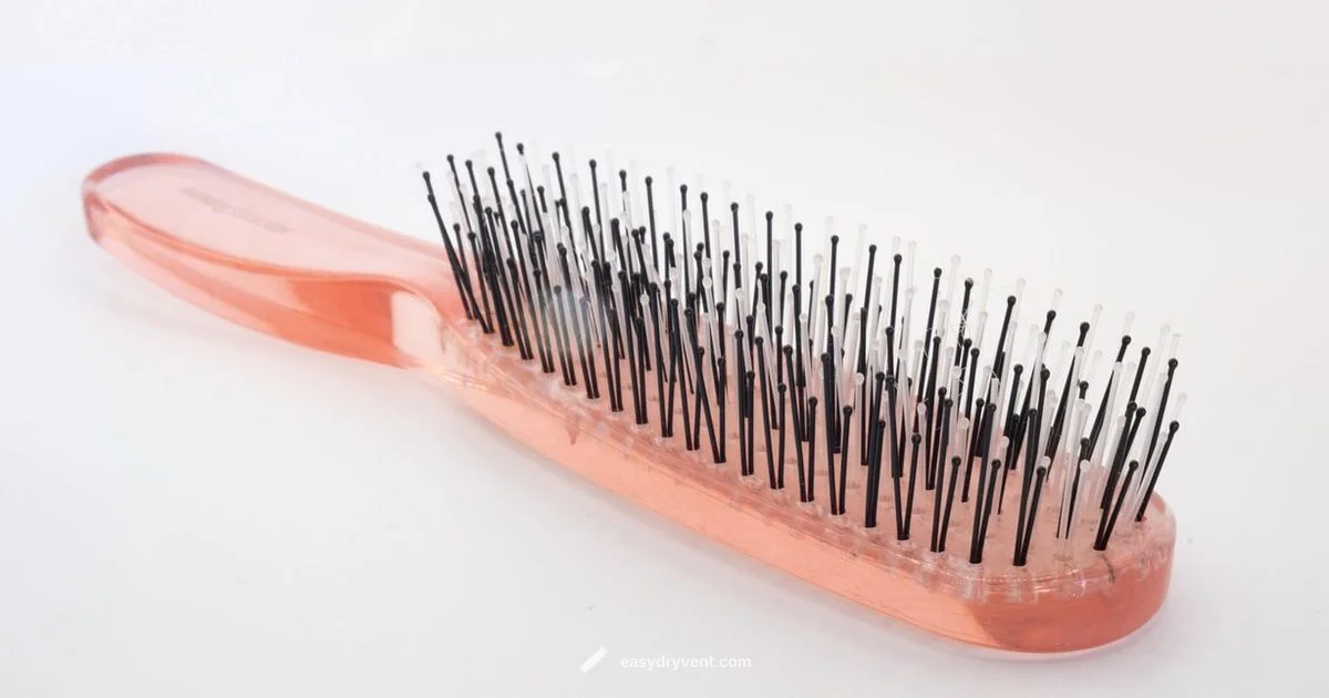 Dryer Brush Guide - Easy DryVent