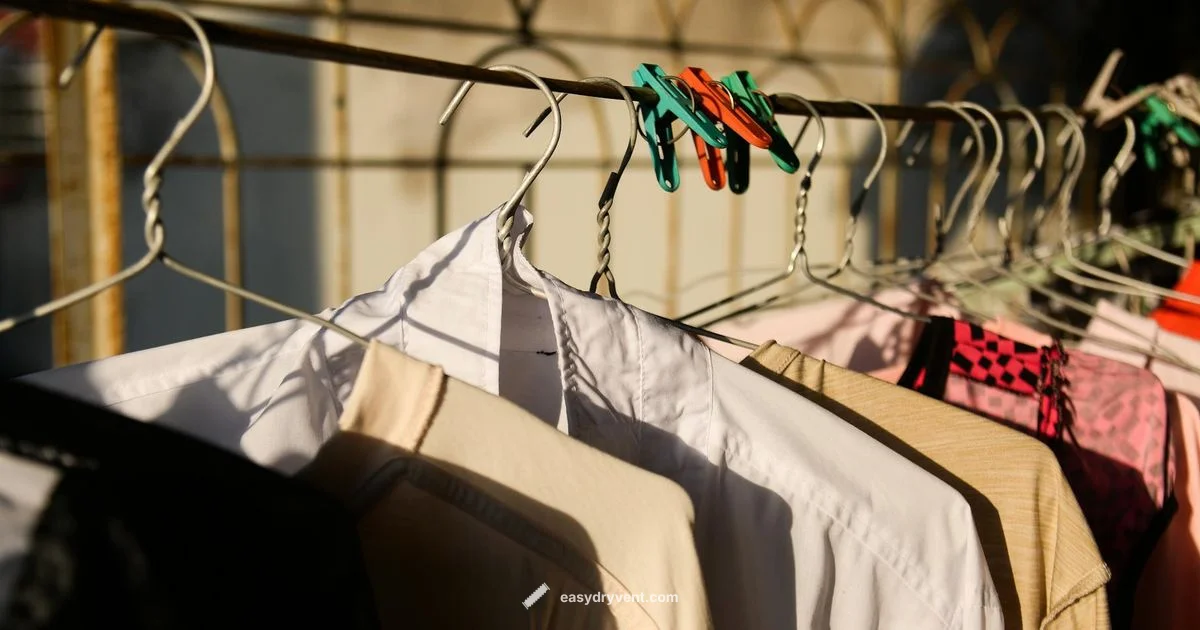 Dryer Rack Guide - Easy DryVent