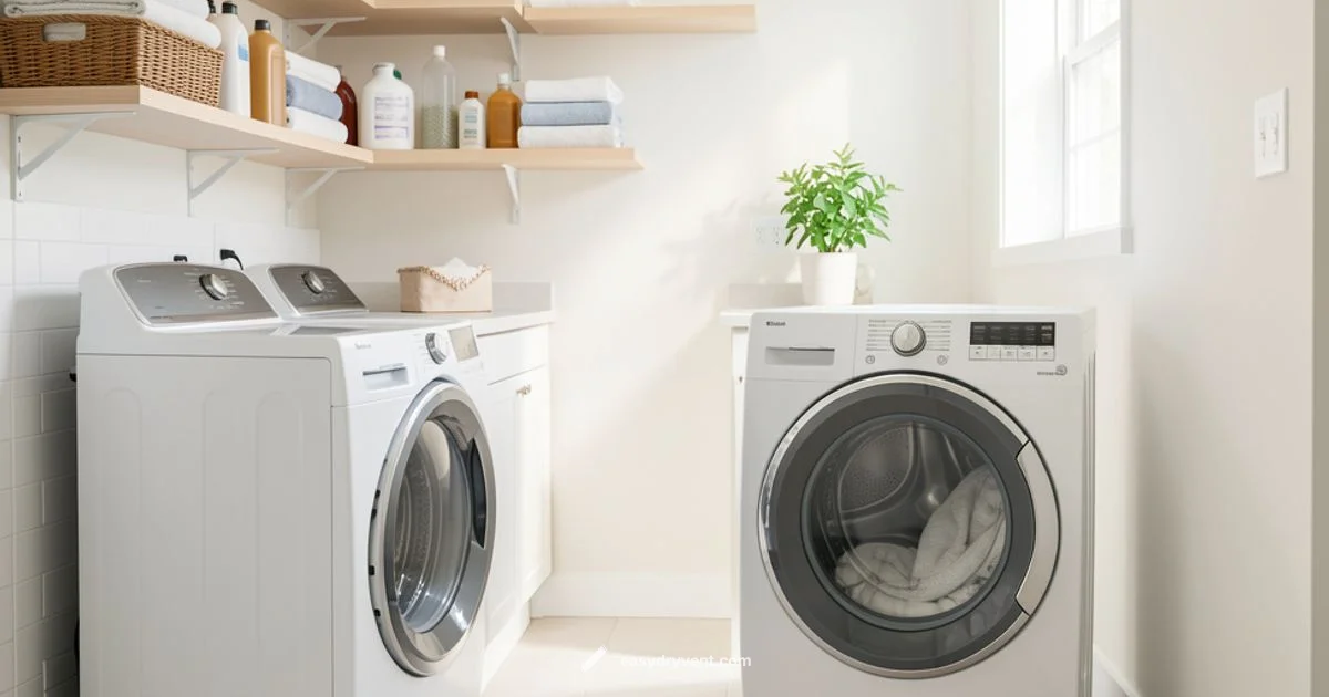 Budget Dryer Picks Budget Dryer Picks - Easy DryVent