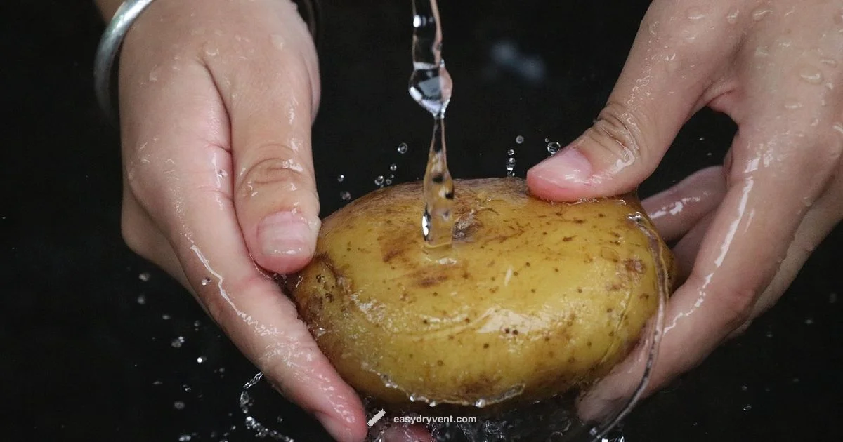 Static Dryer Tips - Easy DryVent