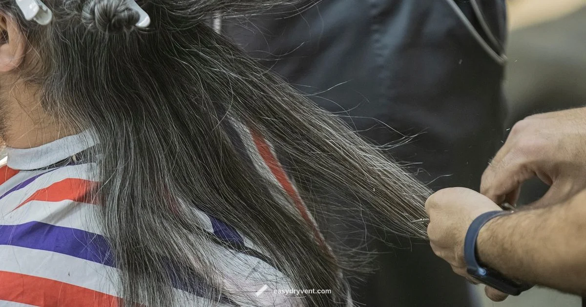 Infrared vs Ionic Hair Dryers - Easy DryVent