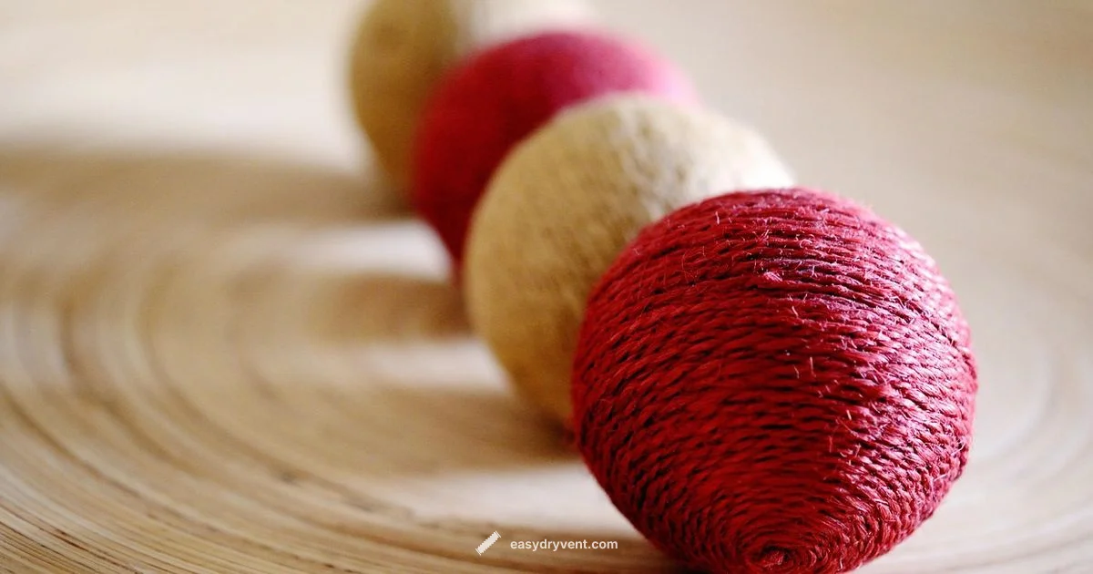 Dryer Ball Dryness Dryer Ball Dryness - Easy DryVent