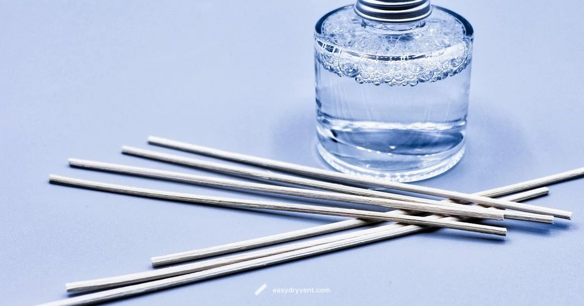 Diffuser Hair Dryer - Easy DryVent