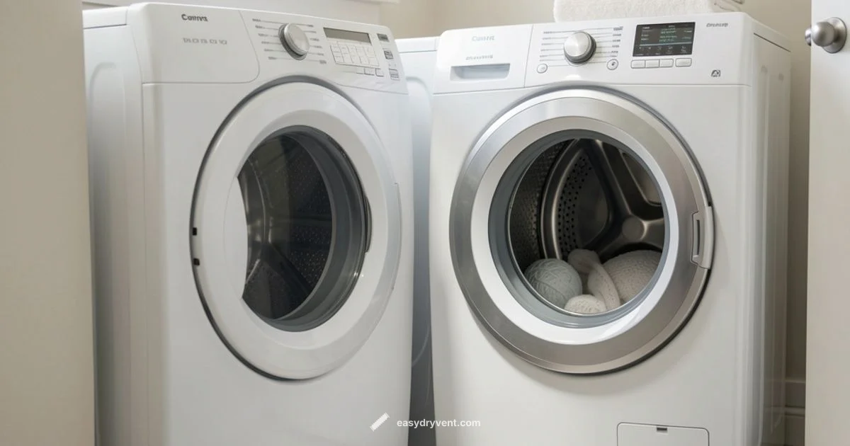 Lint Ball Guide - Easy DryVent