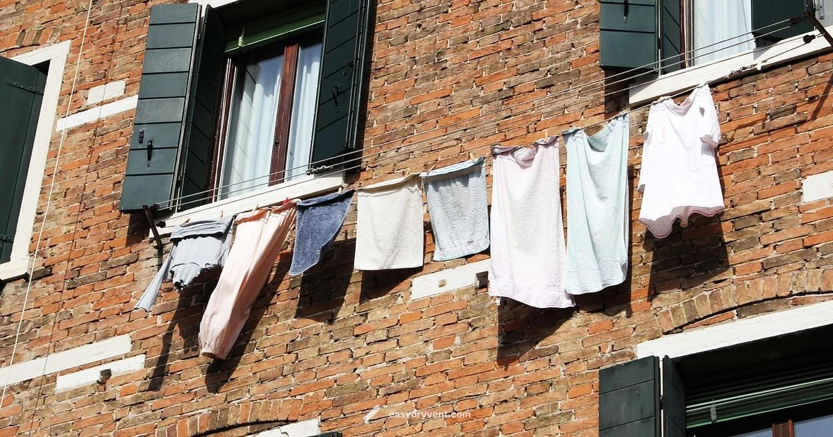 Dryer vs Dehumidifier - Easy DryVent