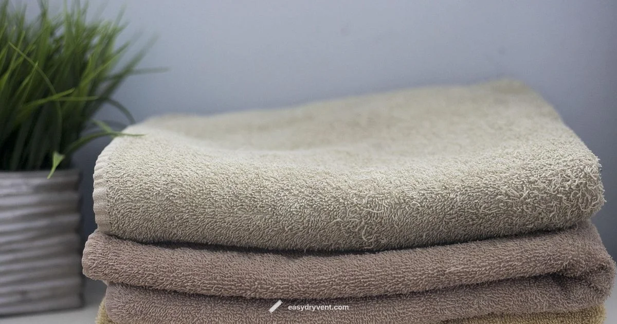 Dryer Sheet Alternatives - Easy DryVent