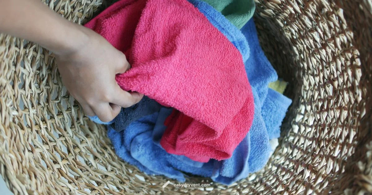 Smart Dryer Alternatives - Easy DryVent