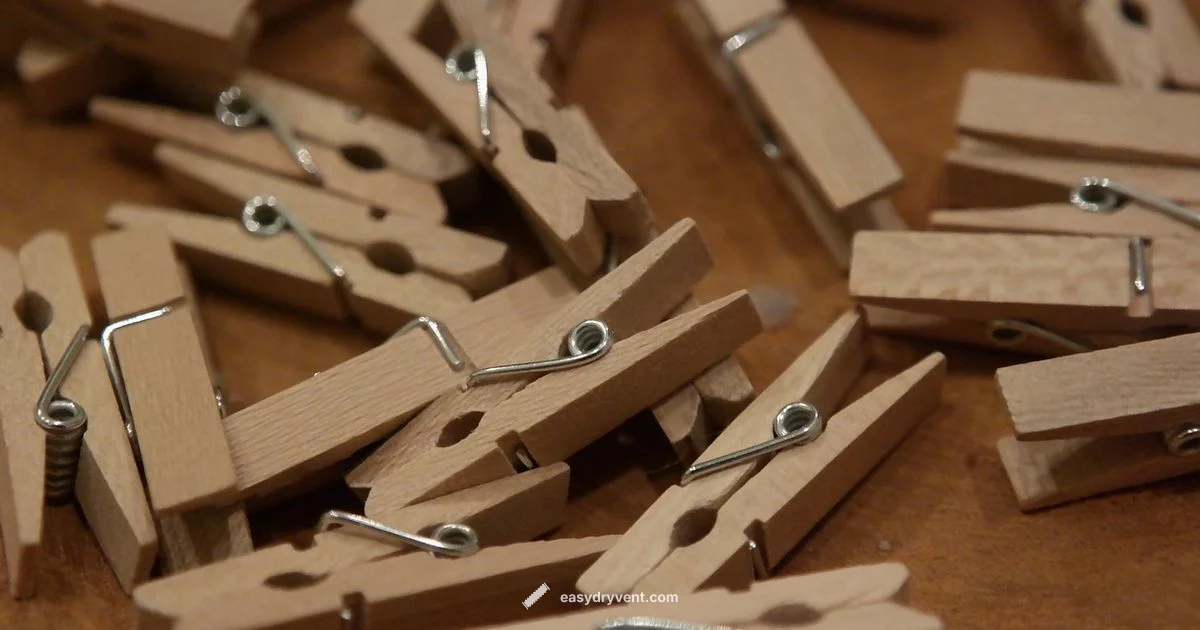 Washer vs Dryer - Easy DryVent