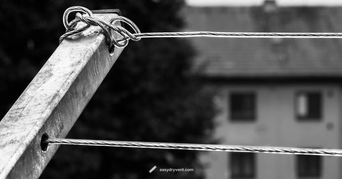 Best Dryers 2026 - Easy DryVent