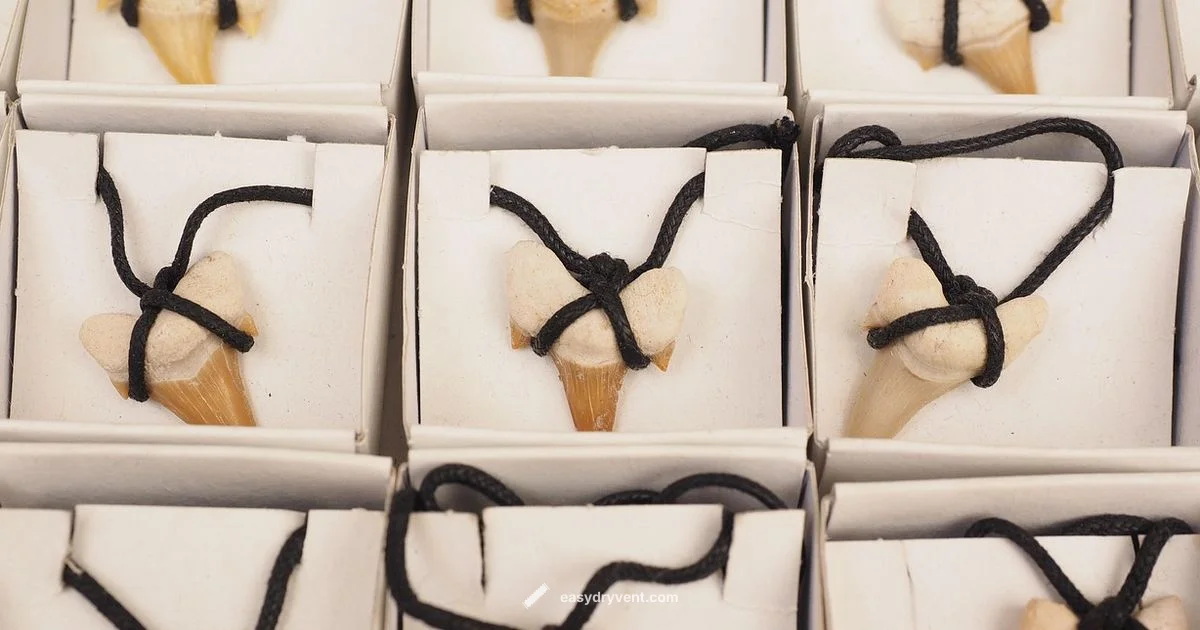 Shark Attachments Guide - Easy DryVent