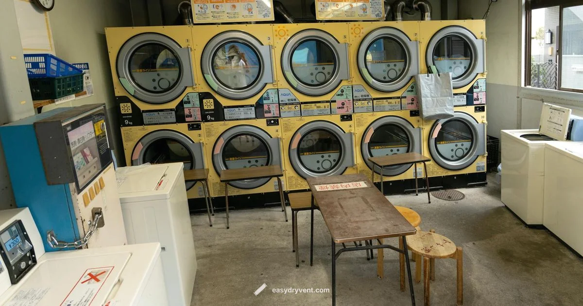 Dryer vs Drier Dryer vs Drier - Easy DryVent