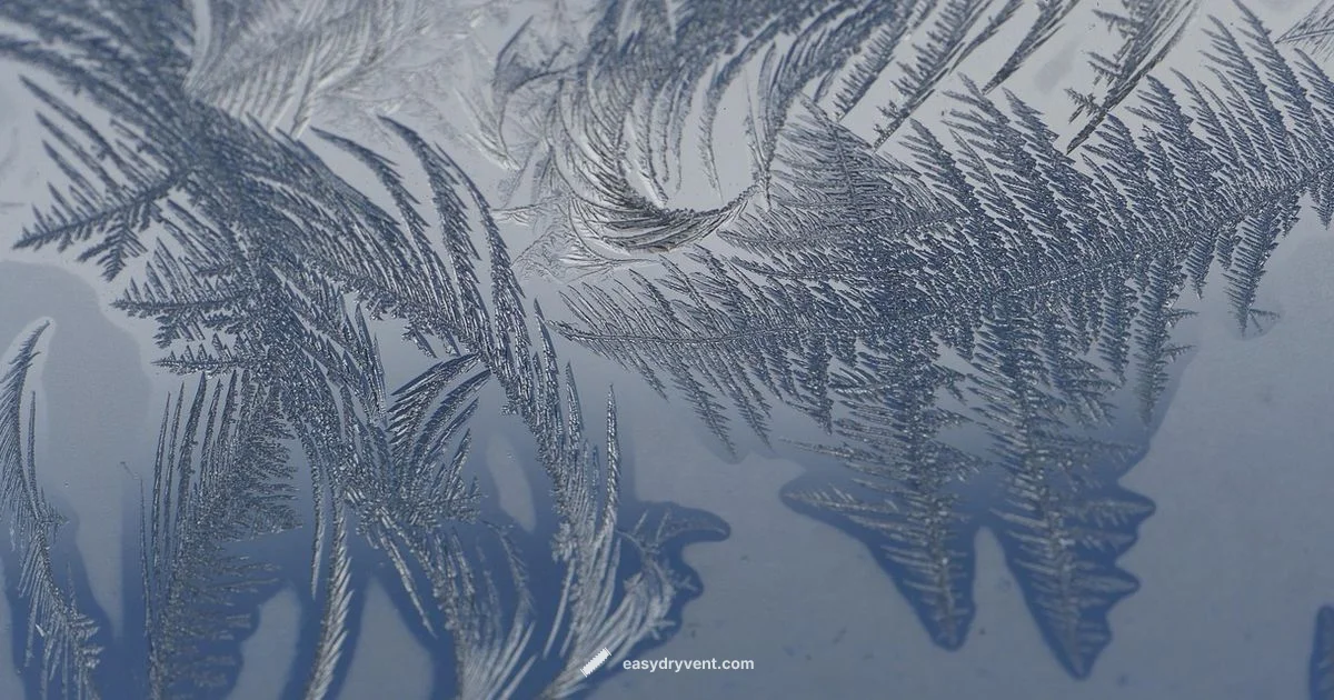 How Freeze Dryers Work How Freeze Dryers Work - Easy DryVent