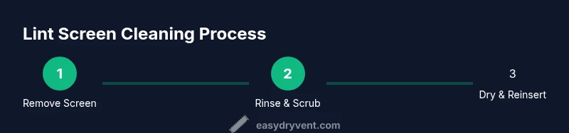 Process steps to clean a dryer lint screen