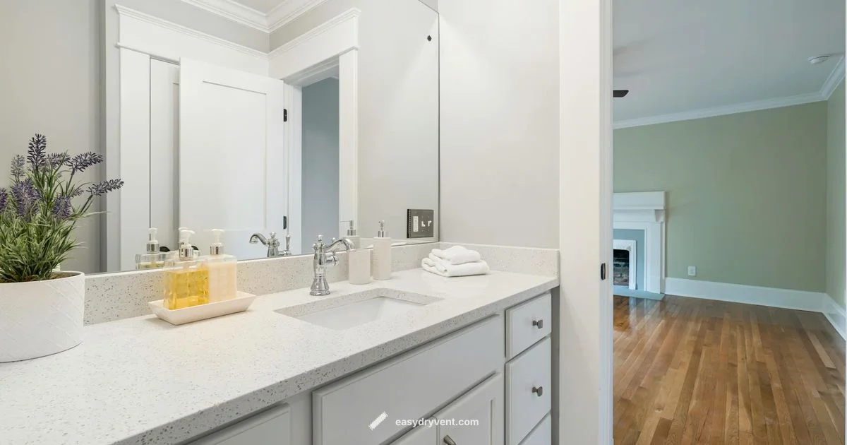 Diffuser vs Dryer - Easy DryVent