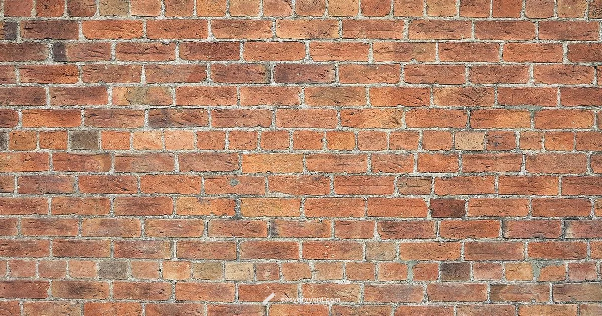 Vent Cover Outside - Easy DryVent