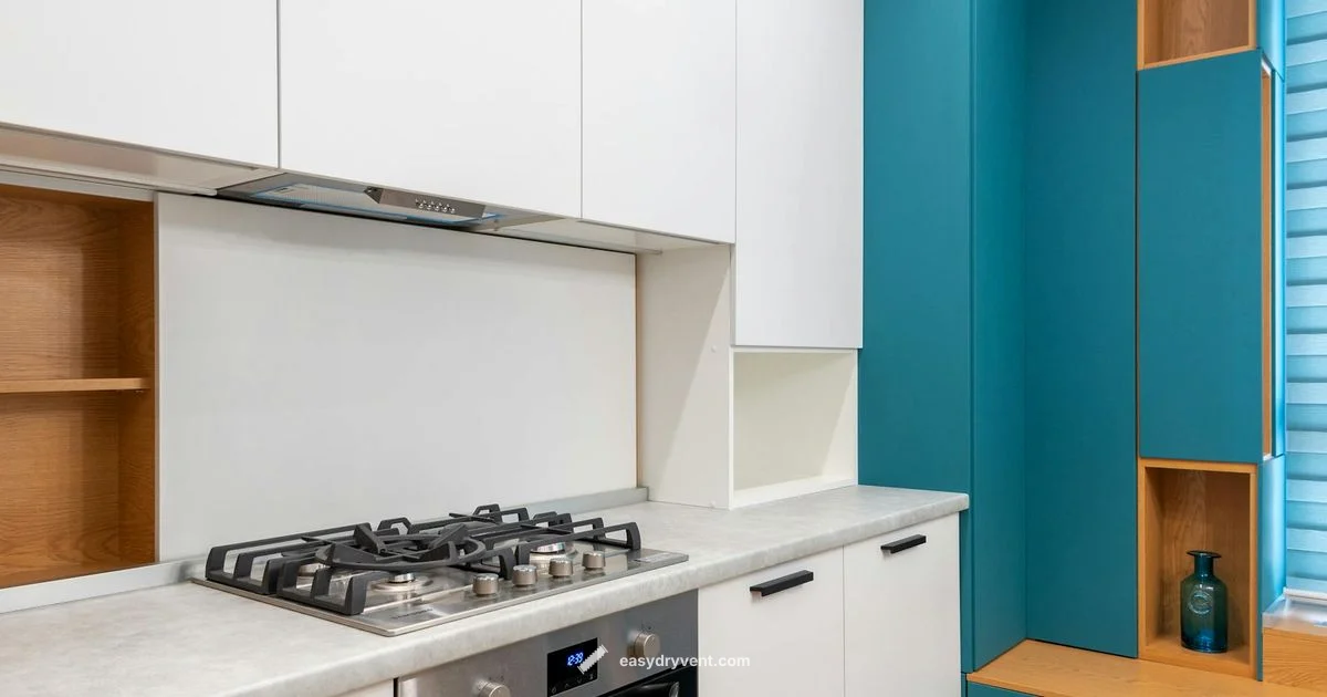 Gas vs Electric Laundry - Easy DryVent