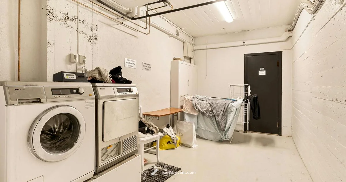 Leak-Proof Dryer Guide - Easy DryVent